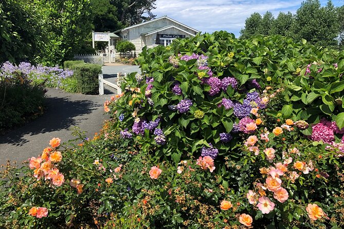 Private Auckland Wine & Dine Matakana Country & Cuisine - Timing, pickup, and practical planning