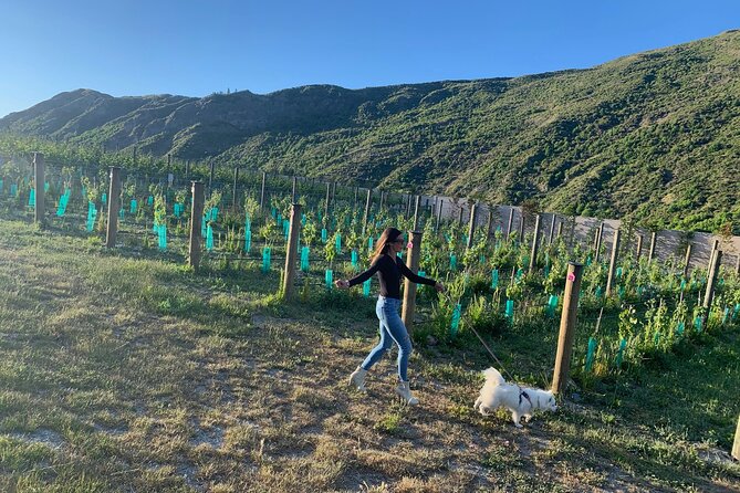 Private Dog Friendly Wine Tour with your Local Guide - Key points to know before you book
