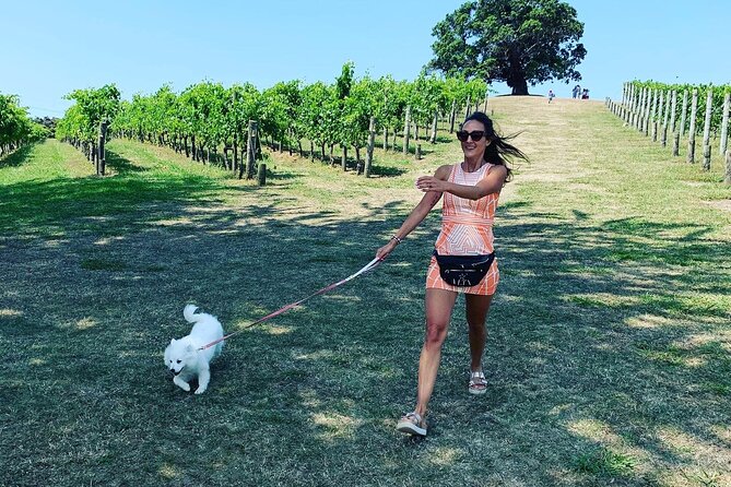 Private Dog Friendly Wine Tour with your Local Guide - Starting at the ferry and settling into Oneroa