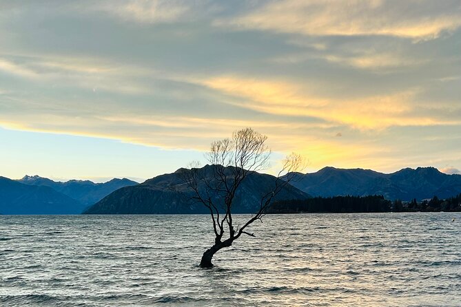 Private Driver Hire – Full-Day Touring-Auckland/Rotorua/Hamilton - Key points at a glance