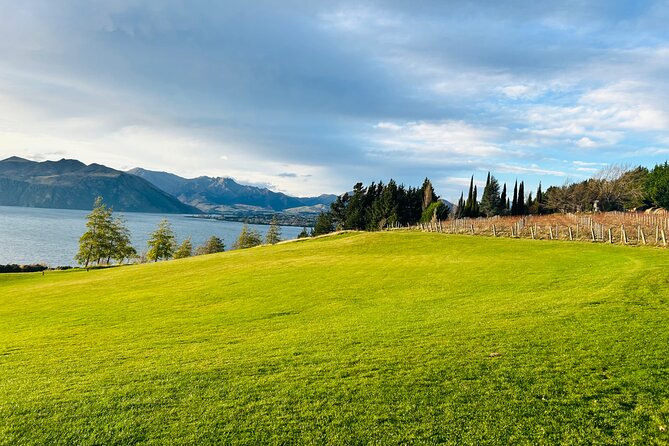 Private Driver Hire – Full-Day Touring-Auckland/Rotorua/Hamilton - A private road day instead of a fixed sightseeing circuit