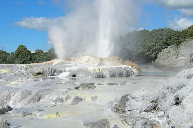Private Full-Day Rotorua Tour from Auckland - Why this private Auckland to Rotorua trip works