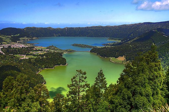 Private Full-Day Rotorua Tour from Auckland - The Redwoods and a quieter change of pace