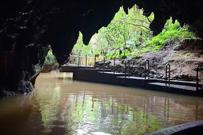 Private Hobbiton & Blue Springs Day Trip from Auckland - Guides, service, and the level of independence