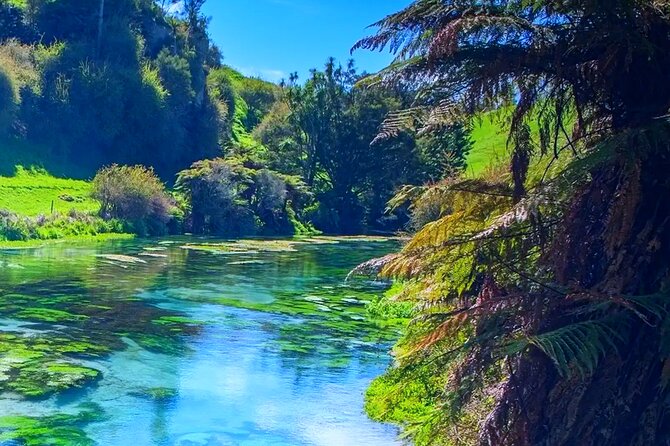 Private Hobbiton, Waitomo Caves, Blue Spring & Hamilton Transfer - Who will get the most from this tour