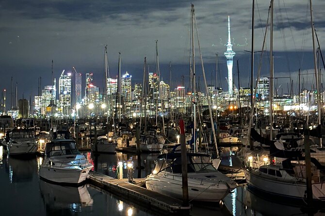 Private Night Tour of Auckland, Sky Tower Bar, Bridge & Museum - Auckland Museum and the Domain at Night