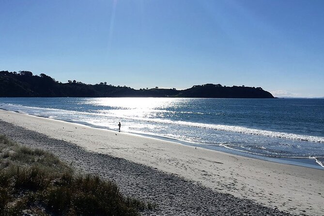 Private Personalised Tour in Waiheke Island - Lunch and local transport included