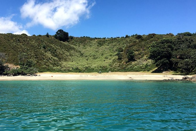 Private Personalised Tour in Waiheke Island - Is $527.49 per person good value?