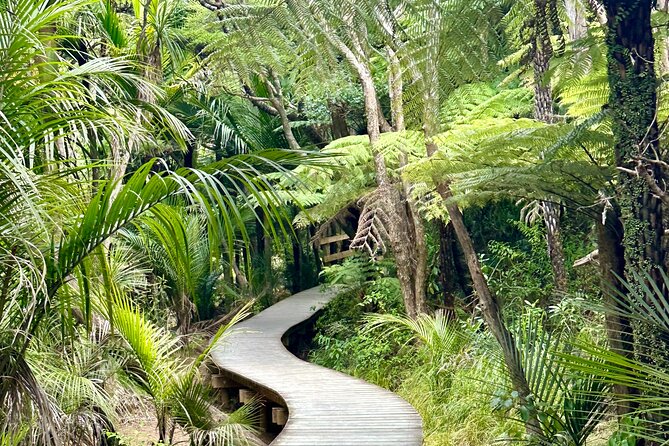 Private Piha Beach, Rainforest Adventure & Mt. Eden with Guide - Piha Beach supplies the big coastal moment