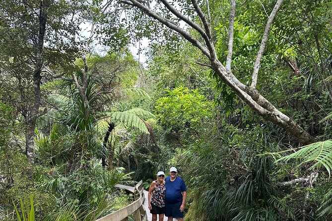 Private Piha Beach, Rainforest Adventure & Mt. Eden with Guide - Kitekite Falls turns the rainforest into the main event