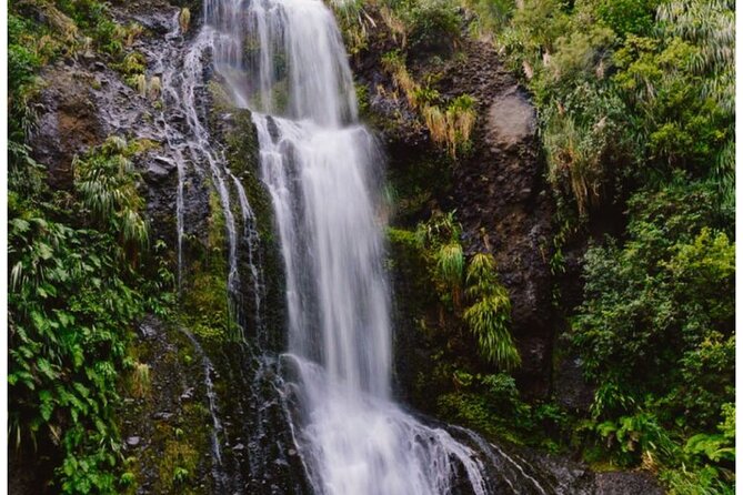 Private Piha Beach, Rainforest Adventure & Mt. Eden with Guide - Mercer Bay brings the first serious walk