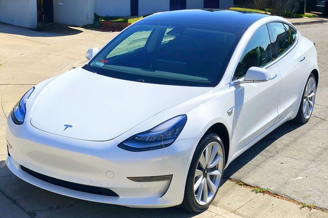 Private Tesla Transfer: Auckland, Tauranga, Rotorua, Taupo - Why a private transfer can beat a rental car