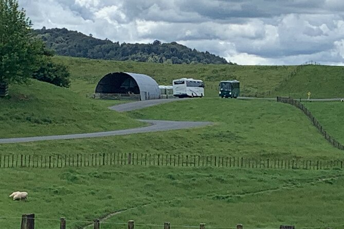 Private The Hobbiton Tour - Auckland Tour House - Food, timing, and what to plan