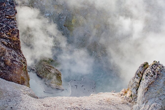 Private Tour [2 Days]: Auckland to Waitomo Caves, Rotorua, Te Puia & Wai-O-Tapu - Te Puia: geysers, Māori culture, and hangi lunch