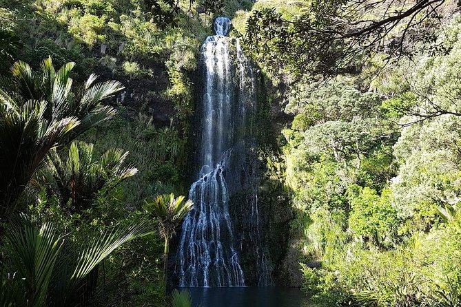 Private Tour: Auckland City and Countryside Tour - Mount Eden: Auckland’s volcanic centerpiece