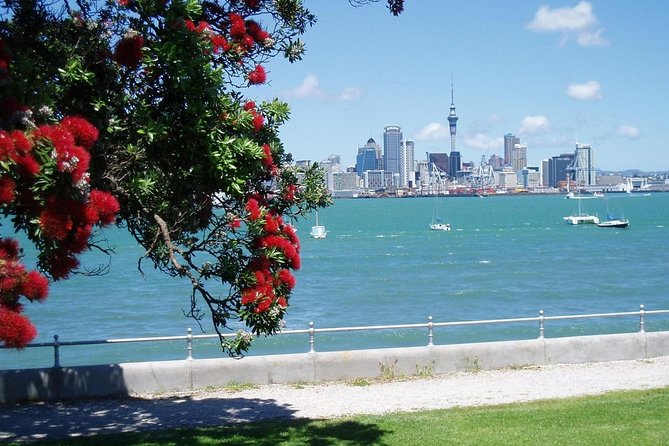 Private Tour: Auckland City and Countryside Tour - What the private guide adds, and where it can fall short