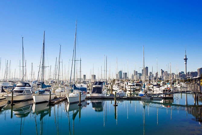 Private Tour: Auckland City and Countryside Tour - Who should book this Auckland tour?