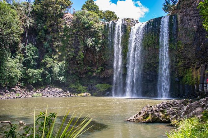 Private Tour: Bay of Islands Day Trip from Auckland - Paihia Harbour and the Hole in the Rock cruise