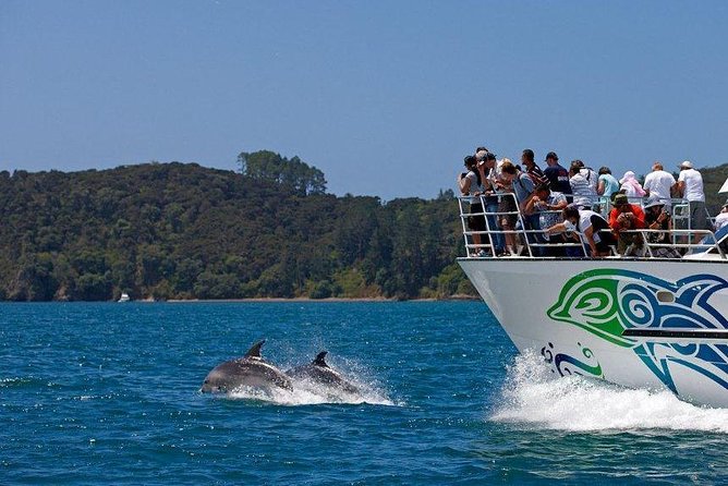 Private Tour: Bay of Islands Day Trip from Auckland - Whangarei Falls, a quick waterfall stop