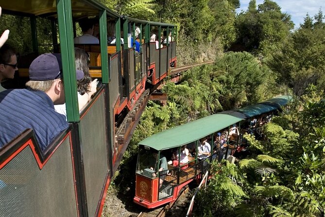 Private Tour - Coromandel Beach, Caves & Forest - The ride from Auckland to the coast