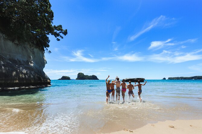 Private Tour - Coromandel Beach, Caves & Forest - Making a spa pool at Hot Water Beach