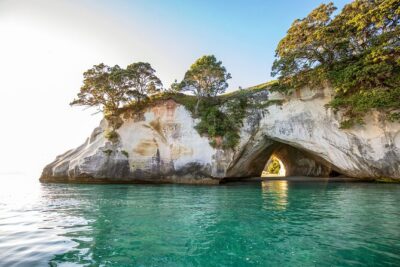 Private Tour – Coromandel Beach, Caves & Forest