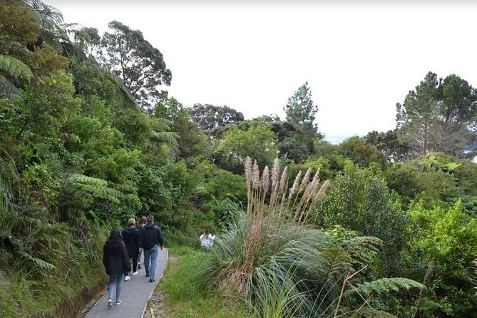 Private Tour - Coromandel Beach, Caves & Forest - Riding Driving Creek Railway through the bush