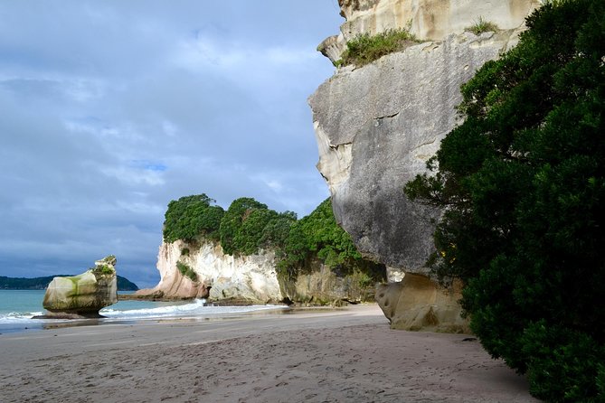 Private Tour - Coromandel Beach, Caves & Forest - Is $589.54 per person good value?