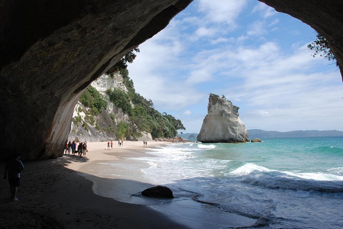 Private Tour - Coromandel Beach, Caves & Forest - Who should book this experience?