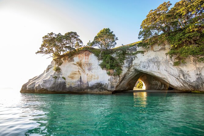 Private Tour - Coromandel Beach, Caves & Forest - Cathedral Cove from the water