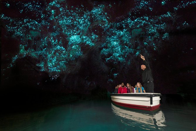 Private tour from Auckland - Waitomo Glowworm Caves, Zealong Tea & Kiwi Bird - Is $619.95 per person a fair price?