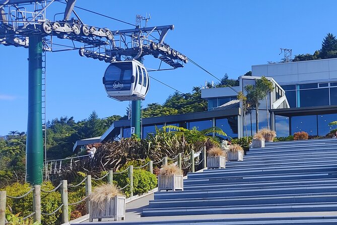 Private Tour: Hobbiton Movie Set, Rotorua Mud Pool & Treewalk - The final call
