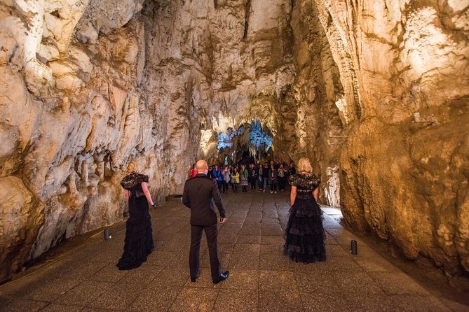 Private Tour: Hobbiton & Waitomo Glowworm Cave Experience - What the strong rating tells you, and what it does not