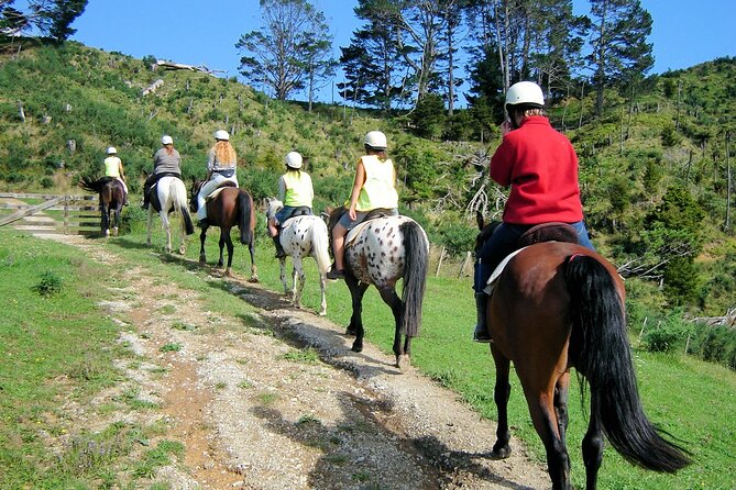 Private Tour - Horse Riding, Wine Tasting and Art Trail - Is $465.43 per person fair value?