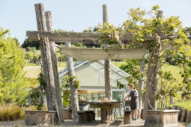 Private tour - Matakana Art & Wine Village - Sculptureum: two hours among art and gardens