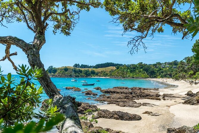 Private Tour - Waiheke Island Luxury Experience - Waiheke’s vineyards are the heart of the day