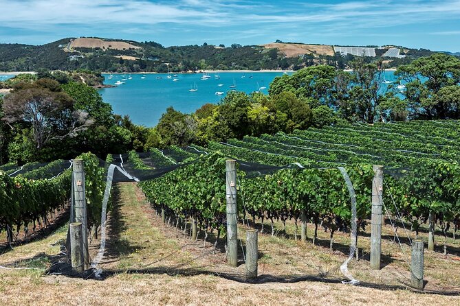 Private Tour - Waiheke Island Luxury Experience - Is the $617.47 price a good value?