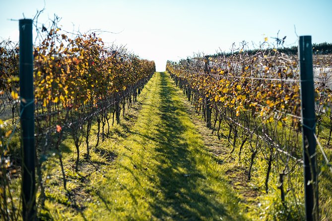 Private Tour - Waiheke Island Luxury Experience - Private transport keeps the day easy