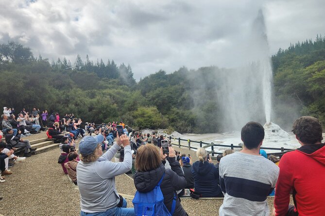 Private Tour WaiOtapu & Huka Falls & Blue springs from Auckland - Lady Knox Geyser adds a fixed-time geothermal spectacle