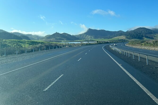 Private Transfer From Auckland Airport To Hamilton - Why the private group price can make sense