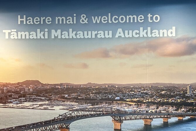Private Transfer From Auckland Airport To Rotorua - How much value do you get for $372.34?