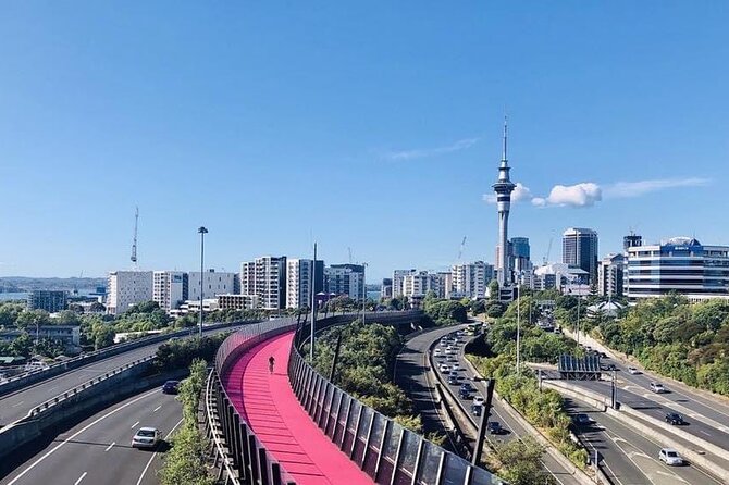 Private Transfer From Auckland City To Auckland Airport - What the 30 to 45 minute ride is like