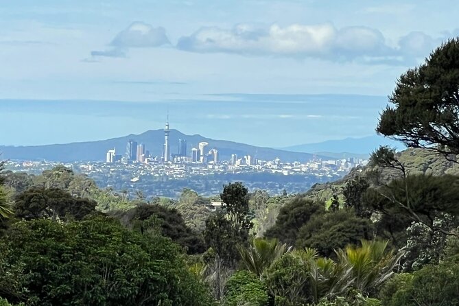 Private Transfer From Auckland International Airport To Auckland City - The drivers and the character of the ride