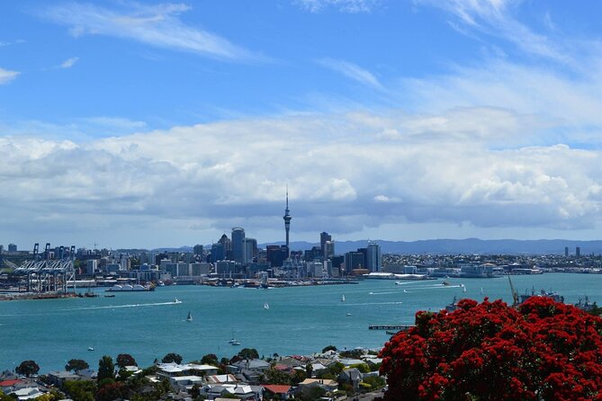 Private Transfer From Auckland International Airport To Auckland City - Who will get the most from this service