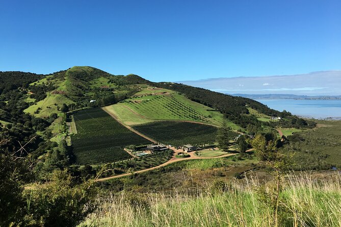 Private Vineyard Bush Walk Tour in Waiheke Island - Key points to know before you book
