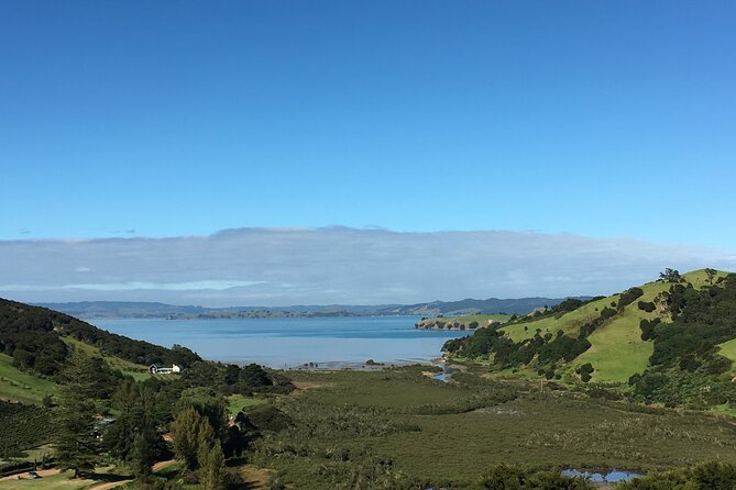 Private Vineyard Bush Walk Tour in Waiheke Island - Beaches, valleys, and vineyard country