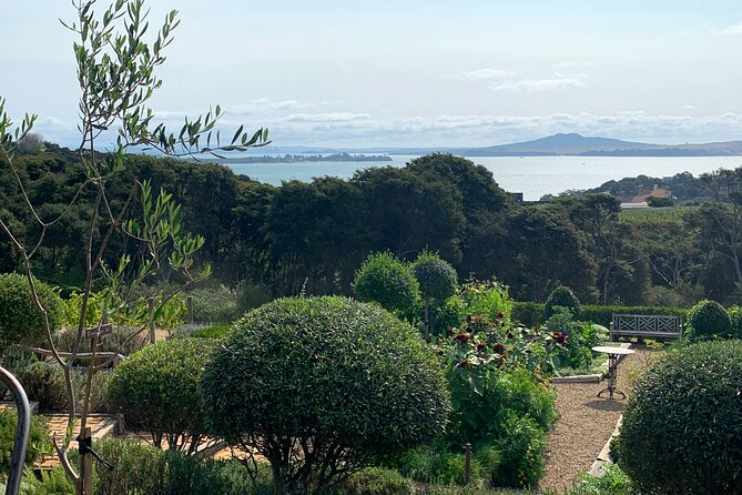 Private Vineyard Bush Walk Tour in Waiheke Island - What the private format is worth