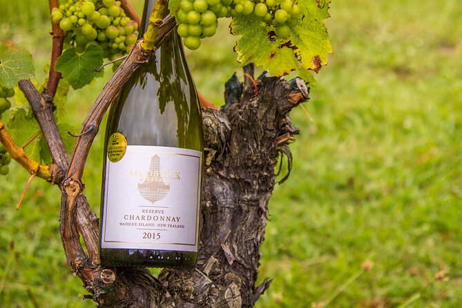 Private Vineyard Bush Walk Tour in Waiheke Island - Who will enjoy this Waiheke experience