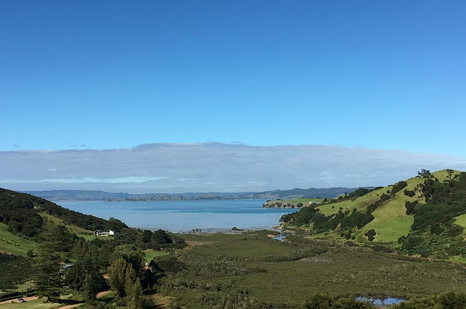 Private Vineyard Bush Walk Tour in Waiheke Island - What to bring and how to plan the day