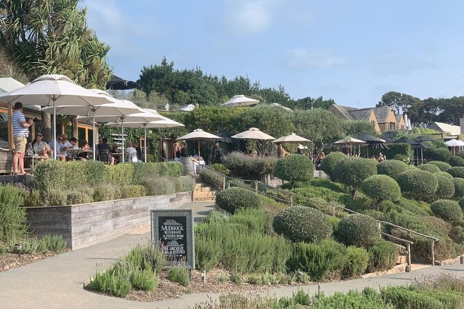 Private Waiheke Food & Wine Tour - Waiheke’s lookouts and coastline come first